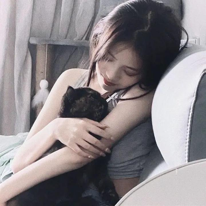 绑架猫王